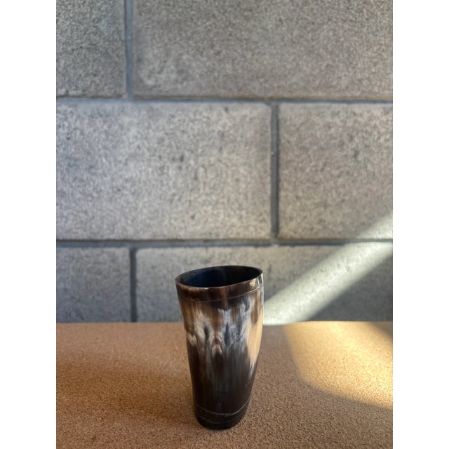 Great collection of horn vessels that can be displayed as a decorative collection or for flowers; they hold water or water...