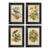 Set of 4 American Bird Illustration Framed Prints, Black & Gold Frame For Sale