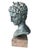 Late 19th Century Vintage Head Bust in Stone, Verdigris Finish For Sale - Image 5 of 5