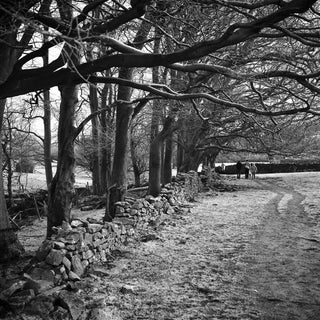 Paul Cooklin, The Peak District, Photograph For Sale