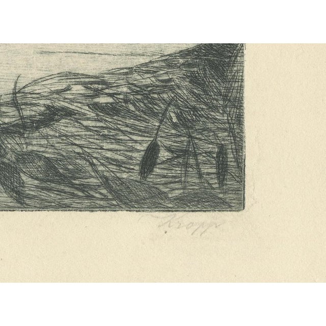 Ernst Kropp, Marsh Landscape with Swans, 1910, Etching For Sale - Image 3 of 9