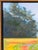 2020s Nancy Paris Pruden "Cows Coming Home" Contemporary Naturalistic Pastoral Landscape Nature Painting, 2020s For Sale - Image 5 of 11