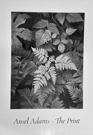 1942 "The Print" Ansel Adams Mt. Rainer National Park Washington Poster