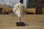 Sculpture of a Head, 19th Century, Reconstituted Stone For Sale - Image 11 of 12