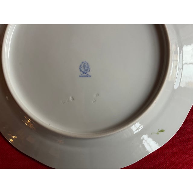Herend Porcelain Dinner Plates Decorated With Birds, Butterflies and Insects With Basketweave Rim - Set of 8 For Sale - Image 9 of 11