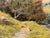 Sheep by River in Mountains of Lake District England - Original Oil on Canvas 1990 Circa For Sale - Image 12 of 18