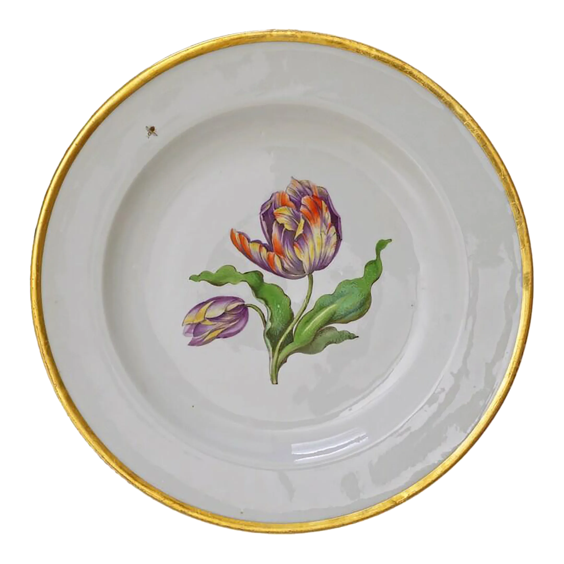Antique Meissen Botanical Tulip Plate Dish Porcelain Hand Painted