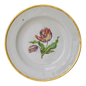 Antique Meissen Botanical Tulip Plate Dish Porcelain Hand Painted