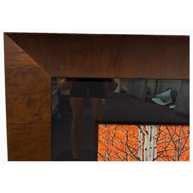 Peter Lik “Harmony” — Artist’s Proof Ap 44/45 | Large Framed Fine Art Photograph For Sale In New York - Image 6 of 14