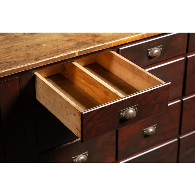 Brown Early 20th Century Apothecary Counter With Drawers and Cupboards For Sale - Image 8 of 14