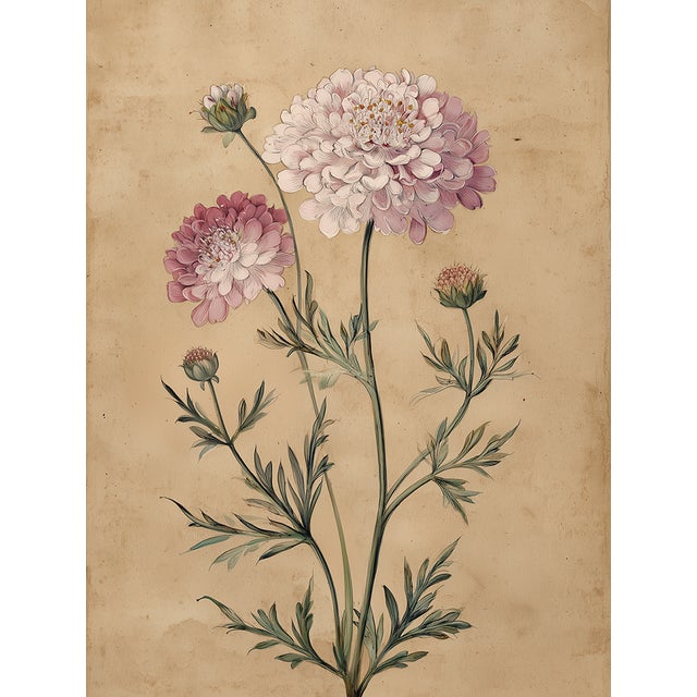 Print size (in): 8 x 12 This print is produced in the United States using archival pigment inks on premium Hahnemühle...