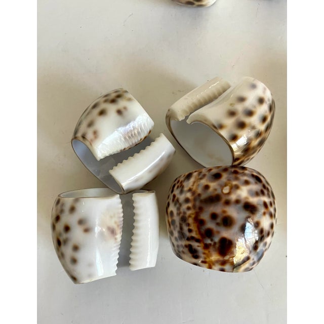 Brown Vintage Tiger Cowrie Shell Salt/Pepper and Napkin Rings Set - Set of 8 For Sale - Image 8 of 11