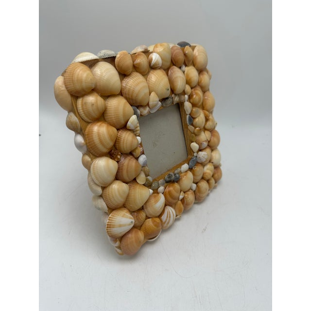 Handmade Vintage Shell Frame For Sale - Image 4 of 7