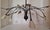 Vintage Chandelier in Black Metal from Honsel Leuchten, 2000s For Sale - Image 6 of 8