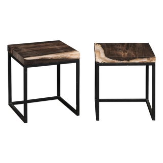 Black & Tan Petrified Wood Top Side Tables - A Pair For Sale