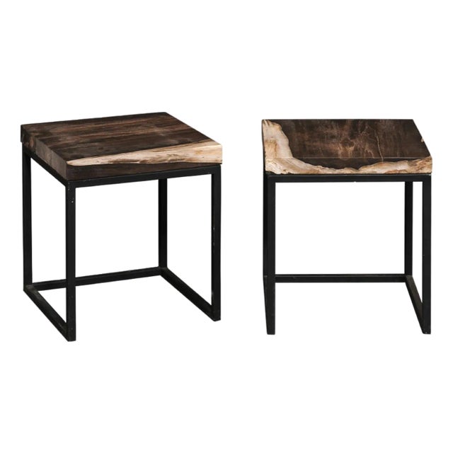Black & Tan Petrified Wood Top Side Tables - A Pair For Sale
