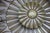 Antique Early Art Deco and Neoclassical Putti Chandelier, Germany, 1920s For Sale - Image 16 of 18