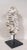 2010s Organic Modern Fossil Scholar Stone For Sale - Image 5 of 8
