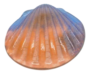 Artisan Vintage Glass Scallop Shell Shaped Paperweight