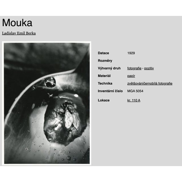 1980s L. E. Berka, Fly, 1929, Signed Gelatin Silver Print For Sale - Image 5 of 7