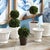 Early 21st Century Boxwood Mini Topiary Drop-Ins, Set Of 3 For Sale - Image 5 of 5