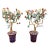 Pair of Vintage Gemstone & Cloisonné Enamel Bonsai Trees – Agate, Crystal & Pearl Fruit For Sale