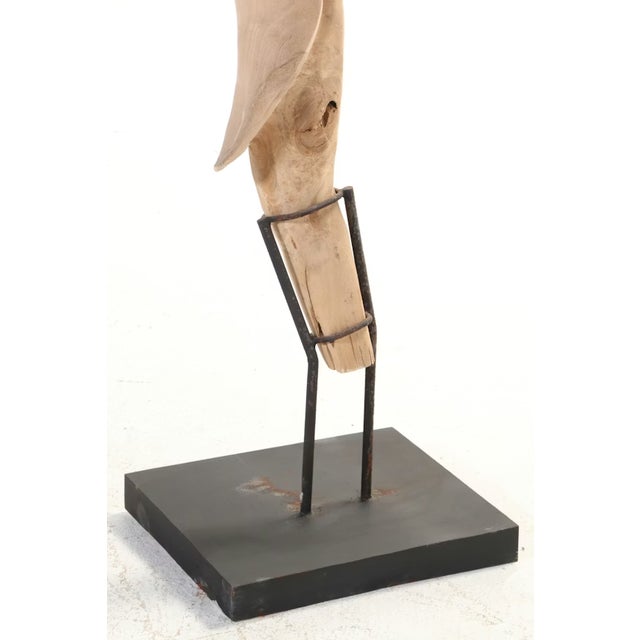 Contemporary Monumental Teak Root Sculpture 7' Tall For Sale - Image 3 of 18