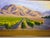 Laurel Sherrie Signed Rancho Sisquoc Flood Family Vineyard Memories of Foxen of Canyon California Oil Painting 2005 Framed Santa Barbara County For Sale - Image 4 of 18