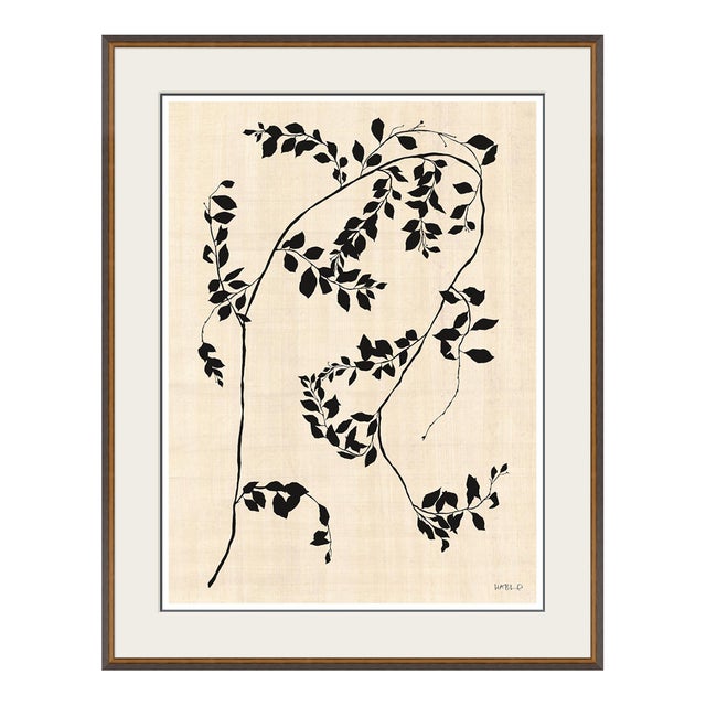 Smylax by Susan Hable For Sale