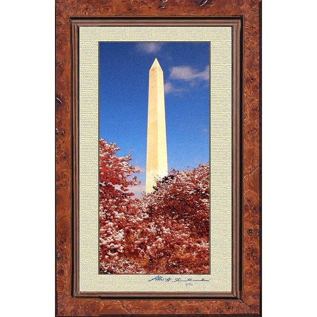 Realism The Washington Monument During Cherry Blossom For Sale - Image 3 of 3