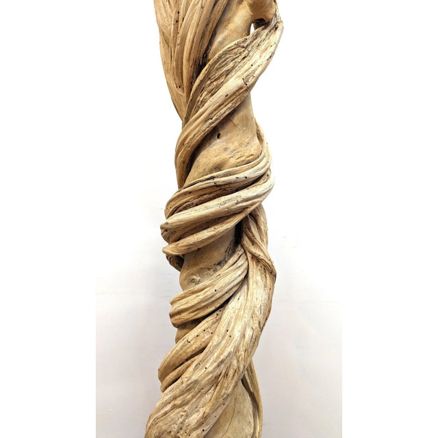 Natural Liana Vine Sculpture For Sale - Image 10 of 12