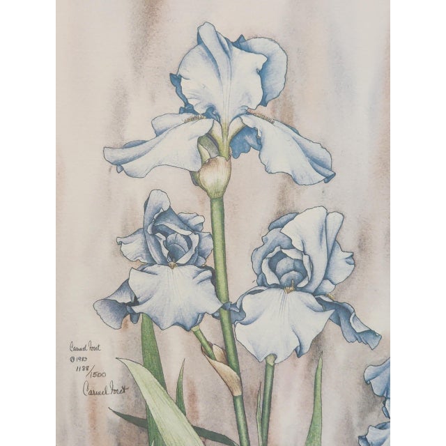 Impressionist Carmel Foret 1983 Numbered Edition " Little Bearded Blue Iris" Pencil Signed Watercolor Print For Sale - Image 3 of 5