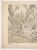 Date: 1905 Size: 18 x 13 inches Artist: Alphonse Mucha Alphonse Mucha was a Czech painter, illustrator, and icon of Art...