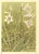 This is a 1945 botanical lithograph that was printed in Switzerland. It is a watercolor, numbered, and signed plate from a...