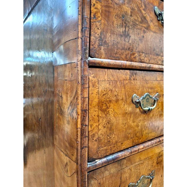 18th-Century English Burr Walnut Chest-on-Stand For Sale - Image 16 of 17