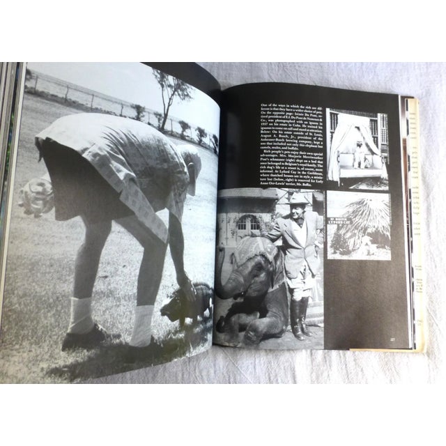 Paper The Very Rich, a History of Wealth, 1981 Book For Sale - Image 7 of 11