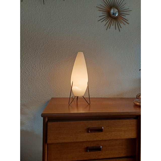 Vintage Table Lamp by Disderot, 1950s For Sale - Image 6 of 11