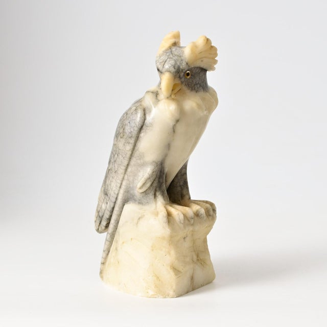 Art Deco Carved Alabaster Sculpture of Cockatoo, 1930s For Sale - Image 6 of 12