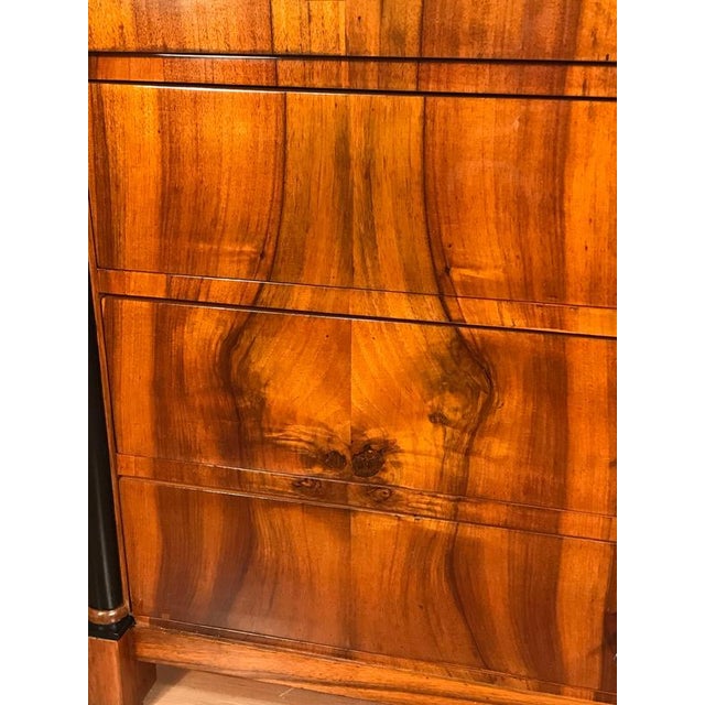 Brown German Biedermeier Walnut Dresser, 1820 For Sale - Image 8 of 11
