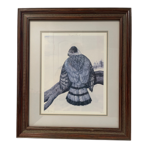 1970s Craig, Erika H. “Cooper’s Hawk” Limited Edition Colored Framed Lithograph. Coa