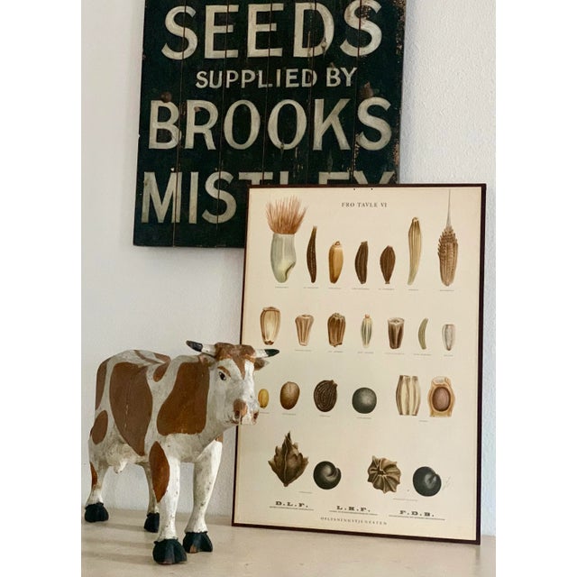 White Vintage Botanical Danish Seed Catalog Lithograph Poster No. 6, New Old Stock For Sale - Image 8 of 12