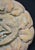 2000 - 2009 Gothic Tudor Lindwurm Dragon Relief in Farran Stone, 2000 For Sale - Image 5 of 14
