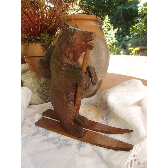 Antique Bear from the Black Forest, 1890s For Sale - Image 11 of 12