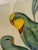 Mid 19th Century Original Circa 1848 John Gould “Polytelis Barrabandi” Hand-Colored Lithograph For Sale - Image 5 of 9
