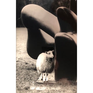 1992 Photograph of a Sheep and Henry Moore Sculpture For Sale