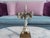 MId-Century Dresden Porcelain Floral Fruit Candelabra Table Lamp For Sale - Image 14 of 15