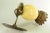 Metal 1800's Ostrich Egg & Tooled Silver Repousse Candle Sconce Lamp For Sale - Image 7 of 13