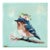 Floriferous Bird, Study 6 by Carrie Goller | Oil and Encaustic Bird on Blossom Branch For Sale