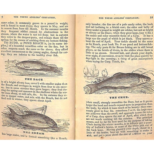 White "The Young Anglers' Companion" 1830 For Sale - Image 8 of 11