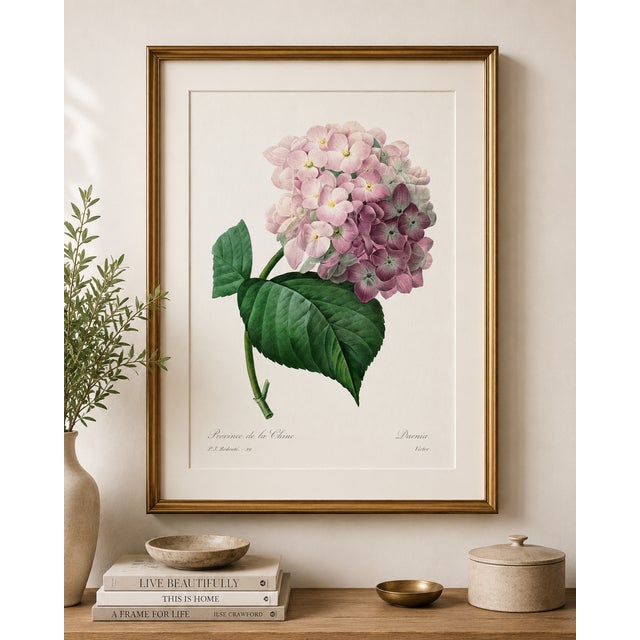 Paper Hydrangea by Pierre-Joseph Redouté, Vintage Botanical Art Print, 16" X 24" For Sale - Image 7 of 9